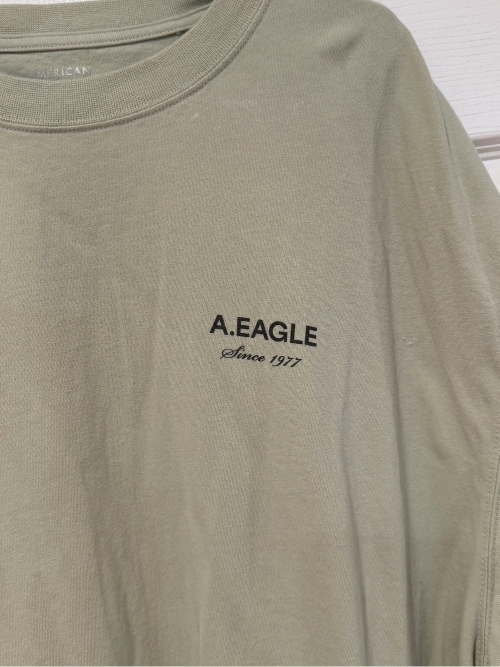 American Eagle Outfitters Sage Green Short-Sleeve Tee - Picture 2 of 6
